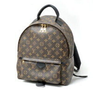 Louis Vuitton Palm Springs Monogram Backpack